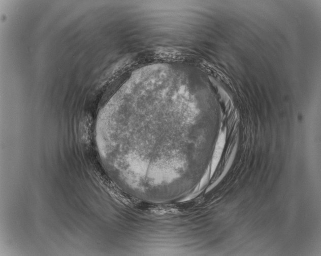 X0000087670712200705181705