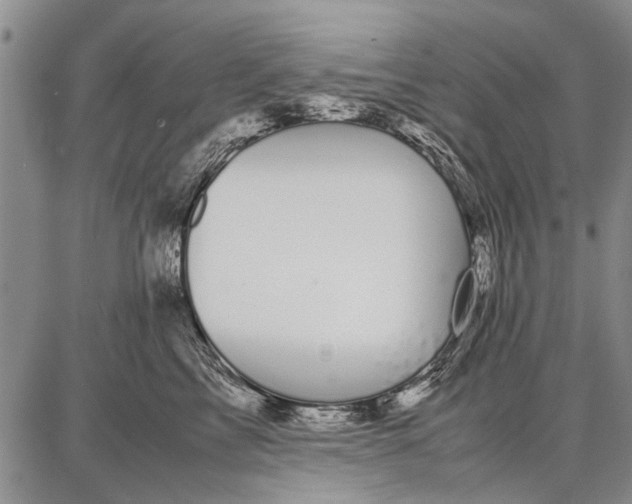 X0000087670713200705181705