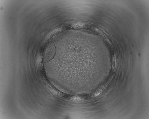 X0000087670714200705181705