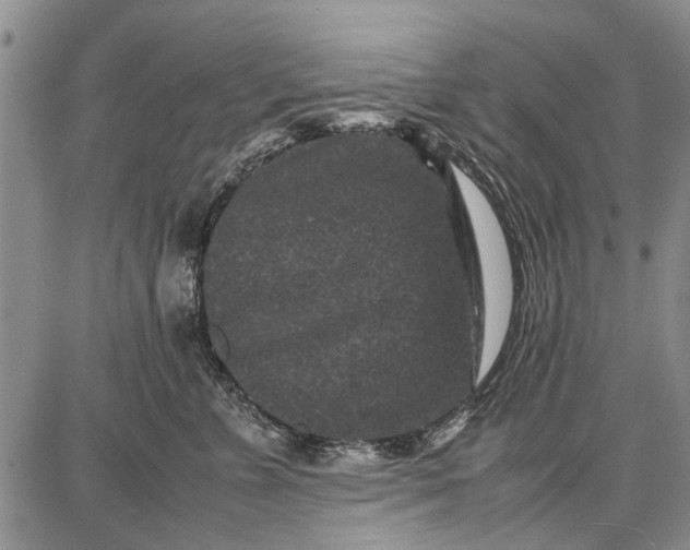 X0000087670715200705181705