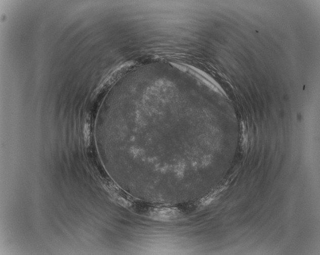 X0000087670716200705181705