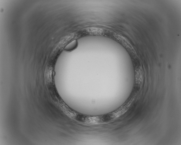 X0000087670717200705181705