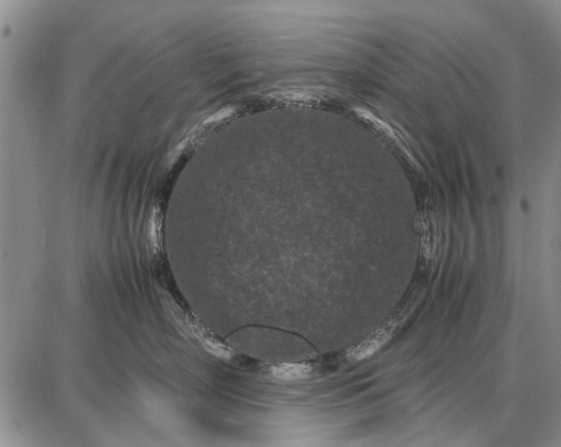 X0000087670718200705181704