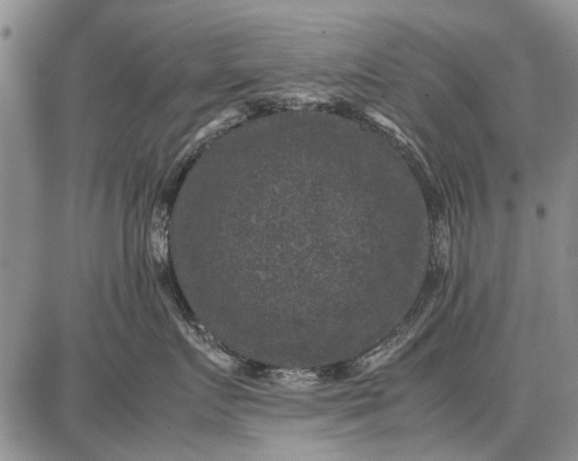 X0000087670719200705181704