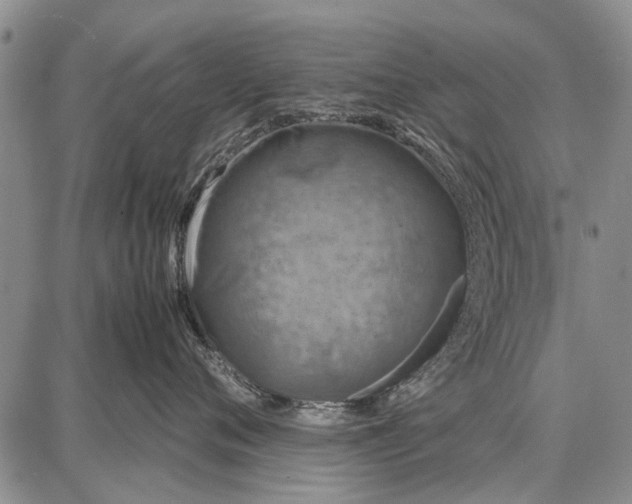 X0000087670720200705181704