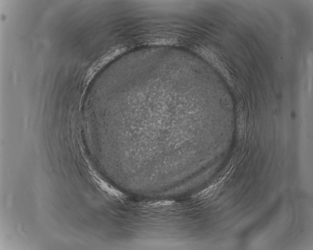 X0000087670721200705181704