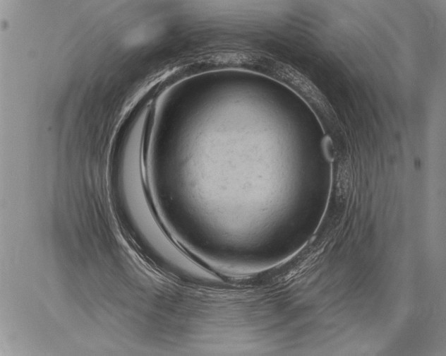 X0000087670722200705181704