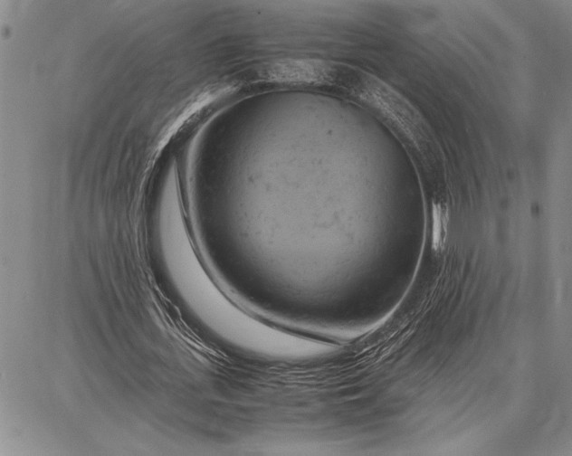 X0000087670723200705181704