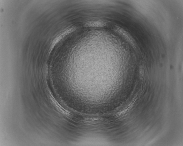 X0000087670725200705181704