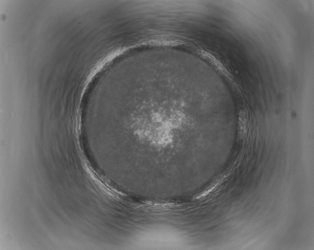 X0000087670726200705181704