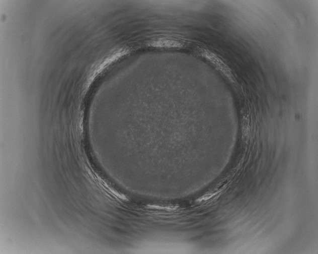 X0000087670727200705181704