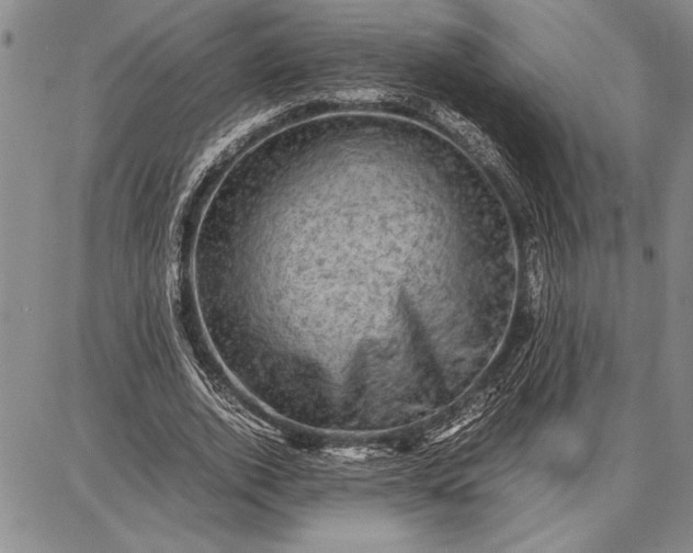 X0000087670728200705181704