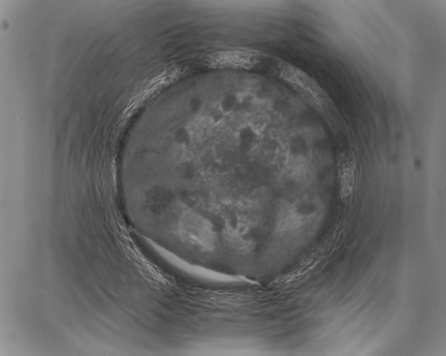 X0000087670729200705181704