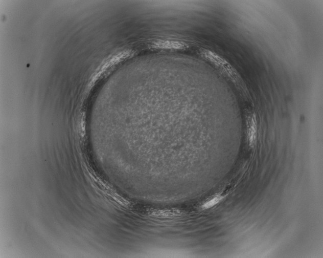 X0000087670731200705181704