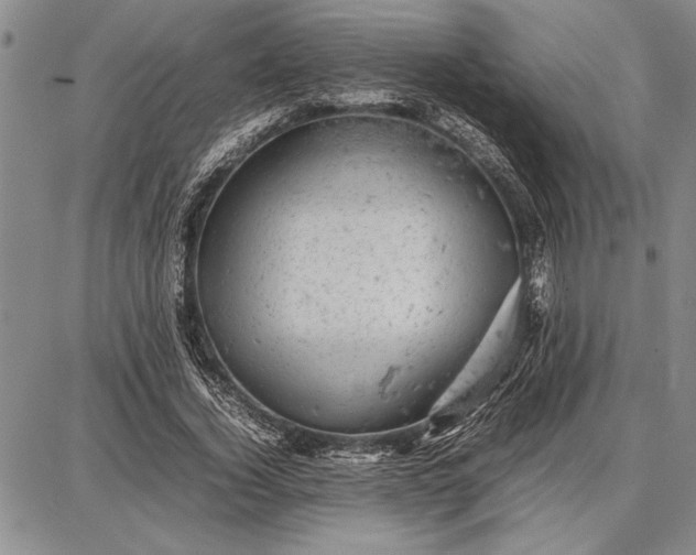 X0000087670732200705181704