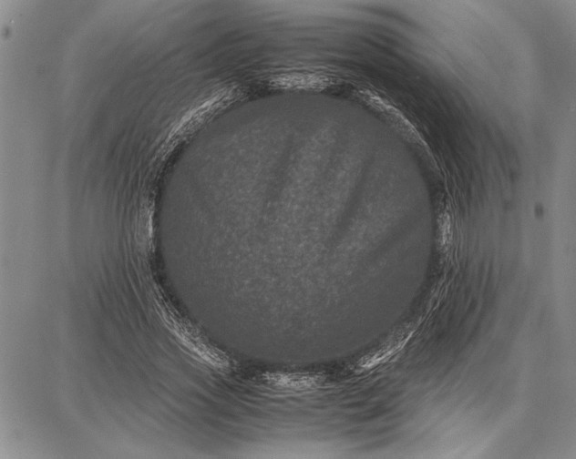 X0000087670733200705181704