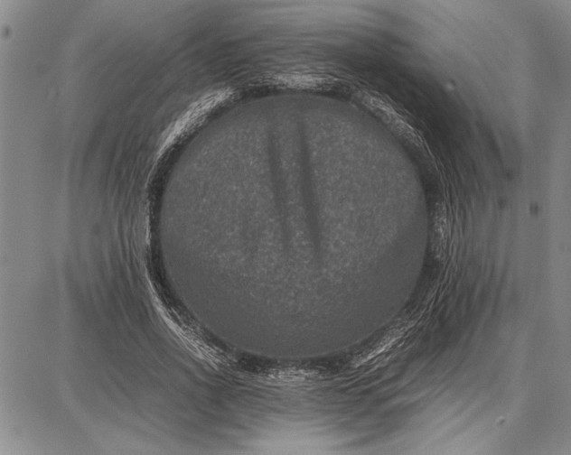 X0000087670734200705181704