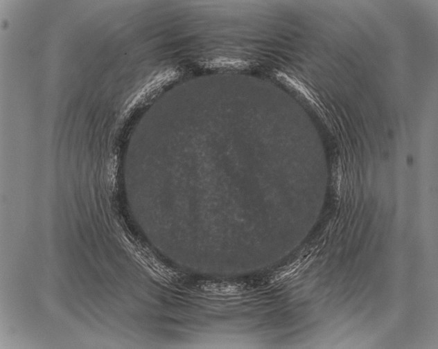 X0000087670735200705181704