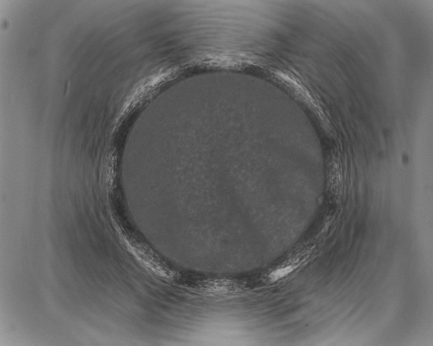 X0000087670736200705181704