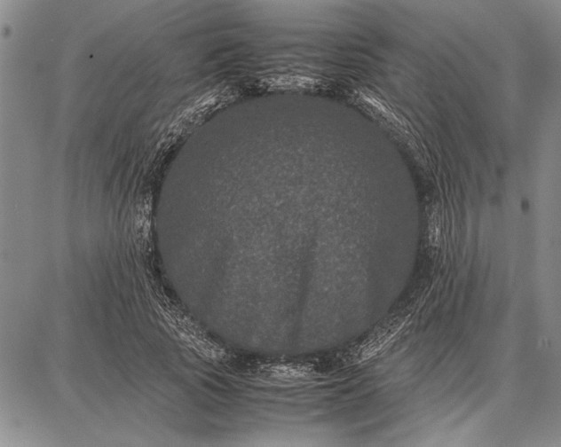 X0000087670737200705181704