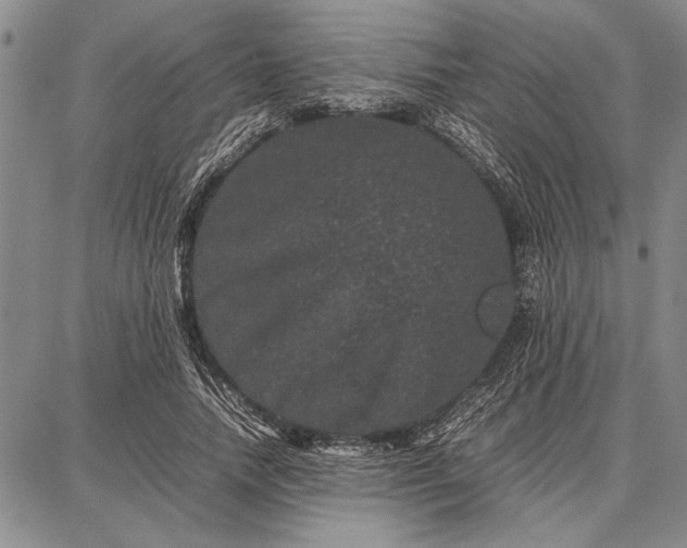 X0000087670738200705181704