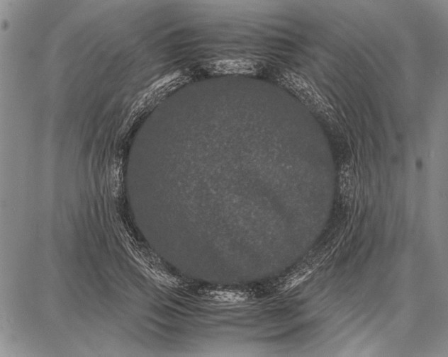 X0000087670741200705181704