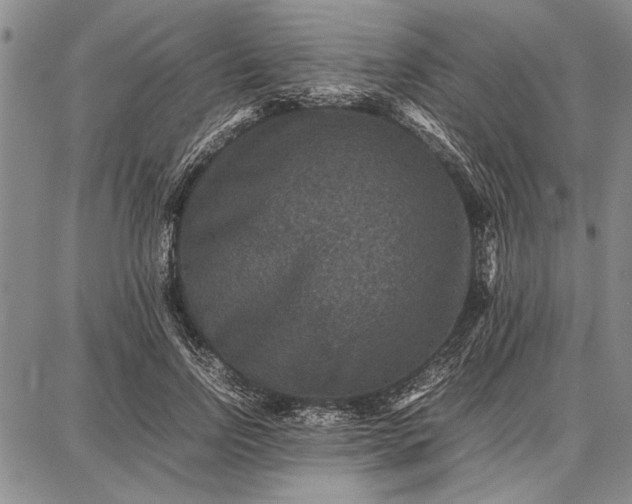 X0000087670742200705181704