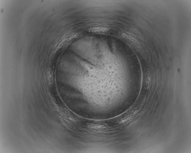 X0000087670743200705181704