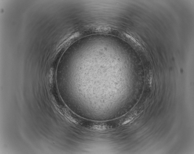 X0000087670744200705181704