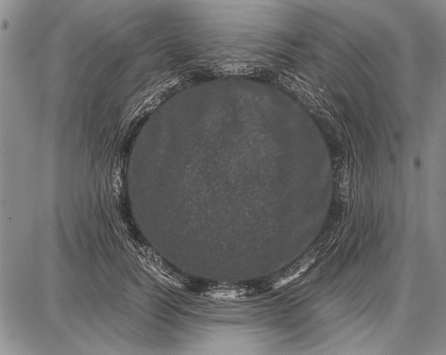 X0000087670746200705181704