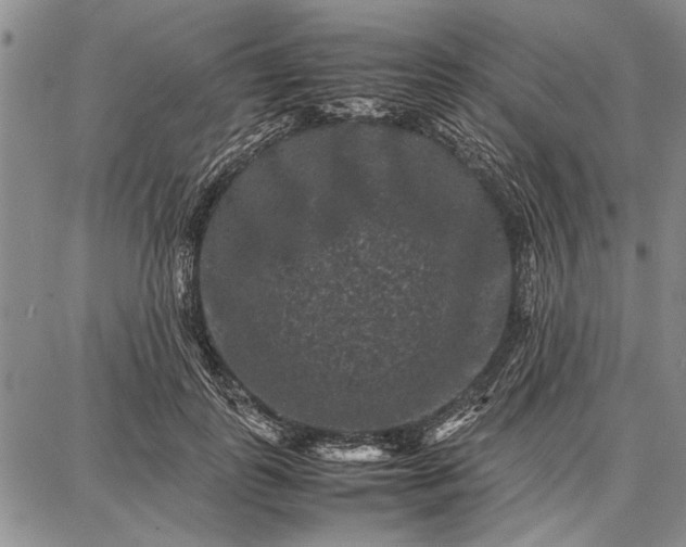 X0000087670747200705181704