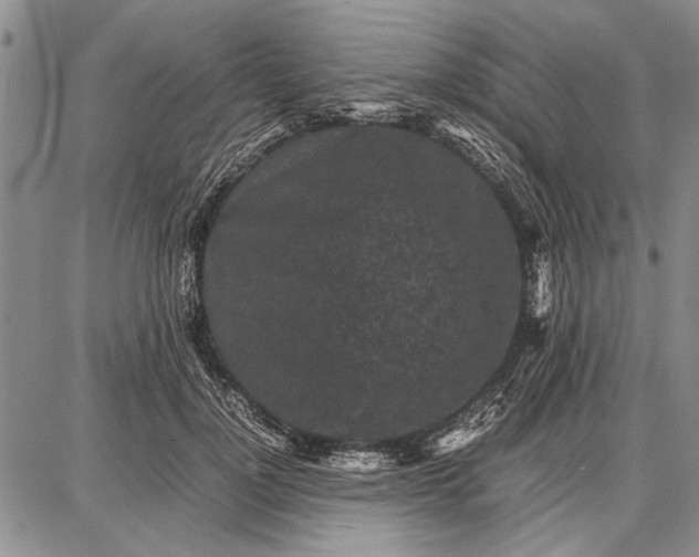 X0000087670748200705181704