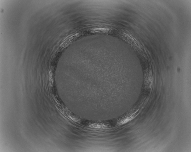 X0000087670749200705181704