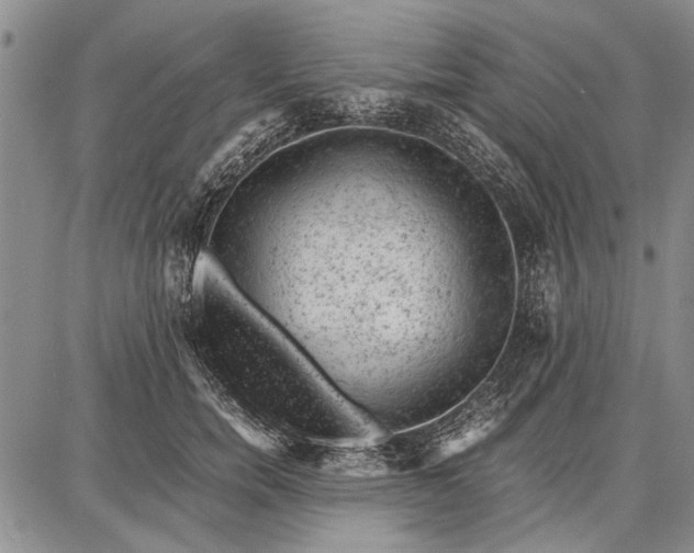 X0000087670750200705181704