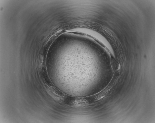 X0000087670752200705181704