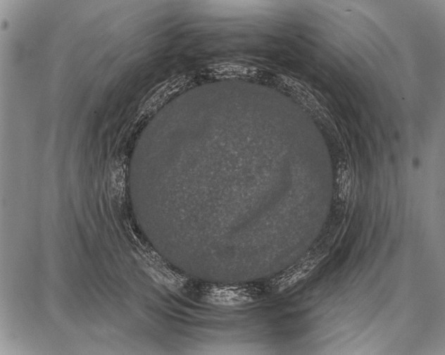 X0000087670753200705181704