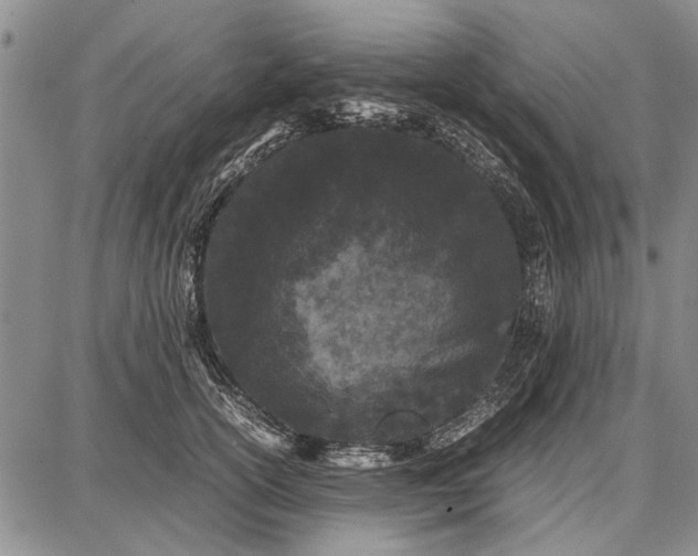 X0000087670754200705181704