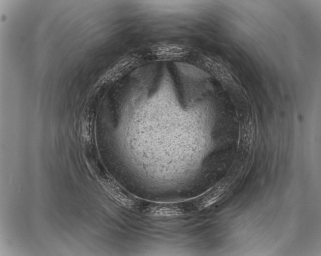 X0000087670755200705181704