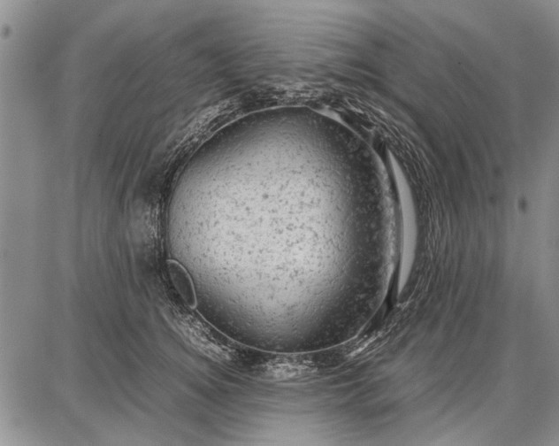 X0000087670756200705181704