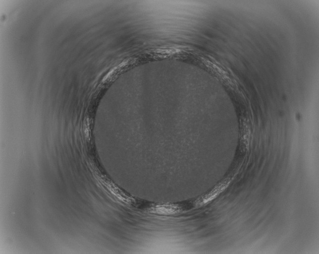 X0000087670758200705181704