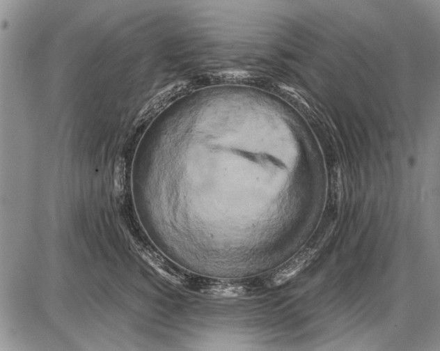 X0000087670760200705181704