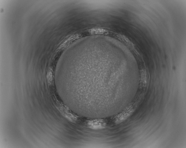 X0000087670761200705181704