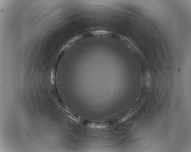 X0000087670763200705181704