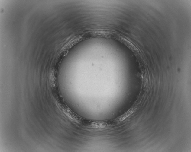 X0000087670764200705181704