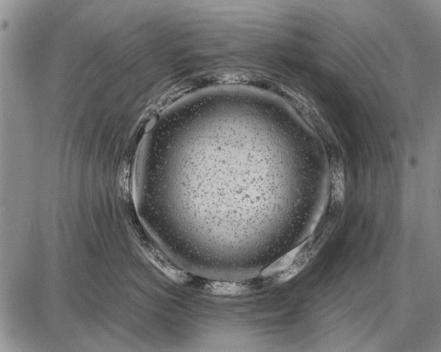 X0000087670766200705181704