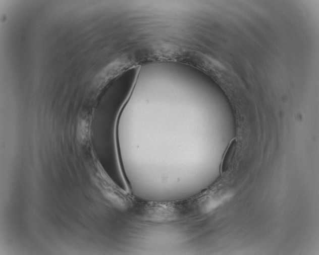 X0000087670768200705181704