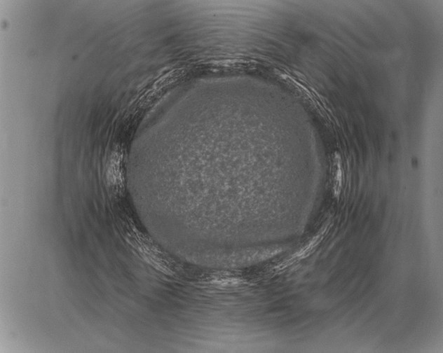 X0000087670770200705181704