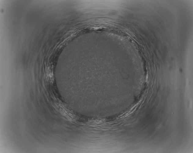 X0000087670771200705181704