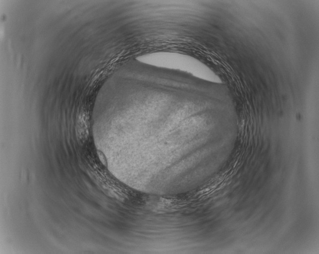 X0000087670772200705181704