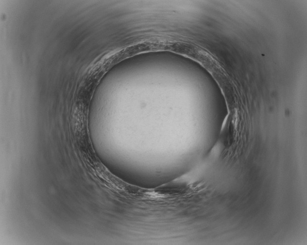 X0000087670773200705181704